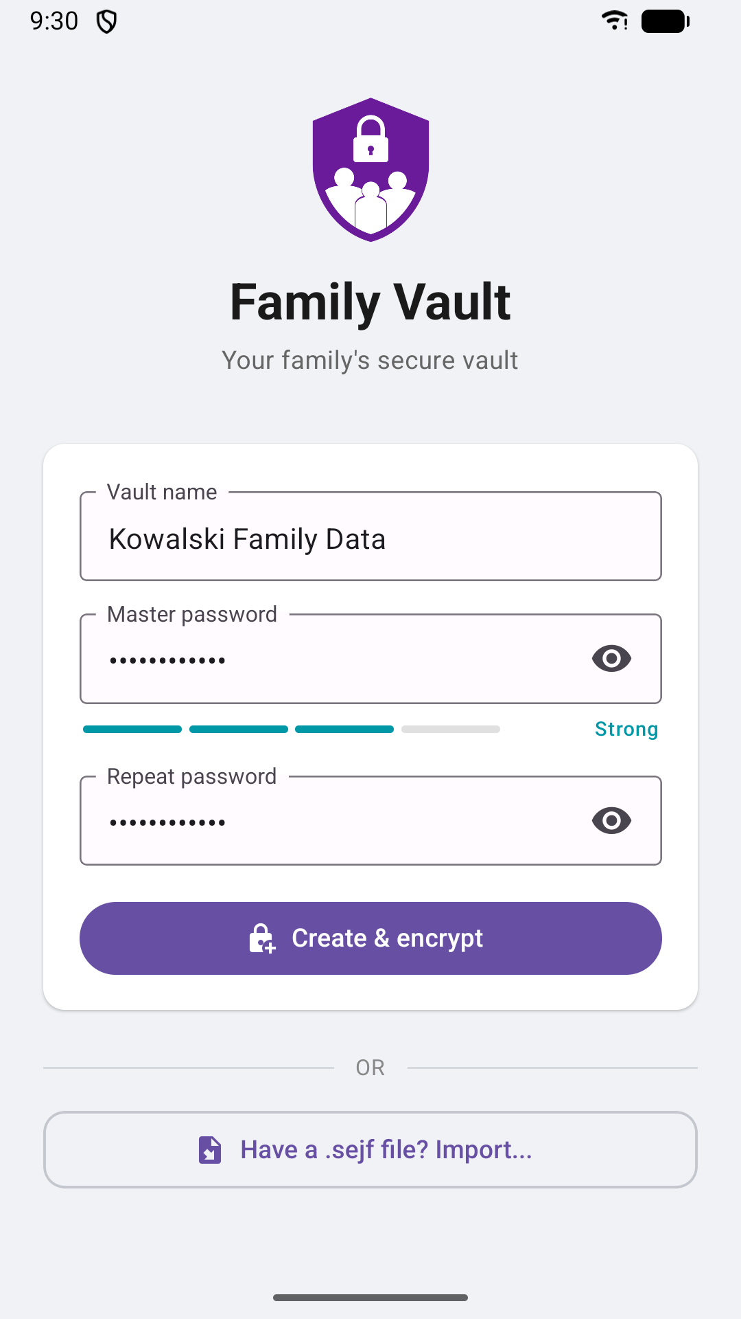 Creating a new vault — name, master password with a strength meter, and a create-and-encrypt button